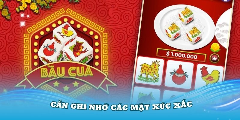 Thành viên cần ghi nhớ các mặt xúc xắc và phân tích kỹ lưỡng